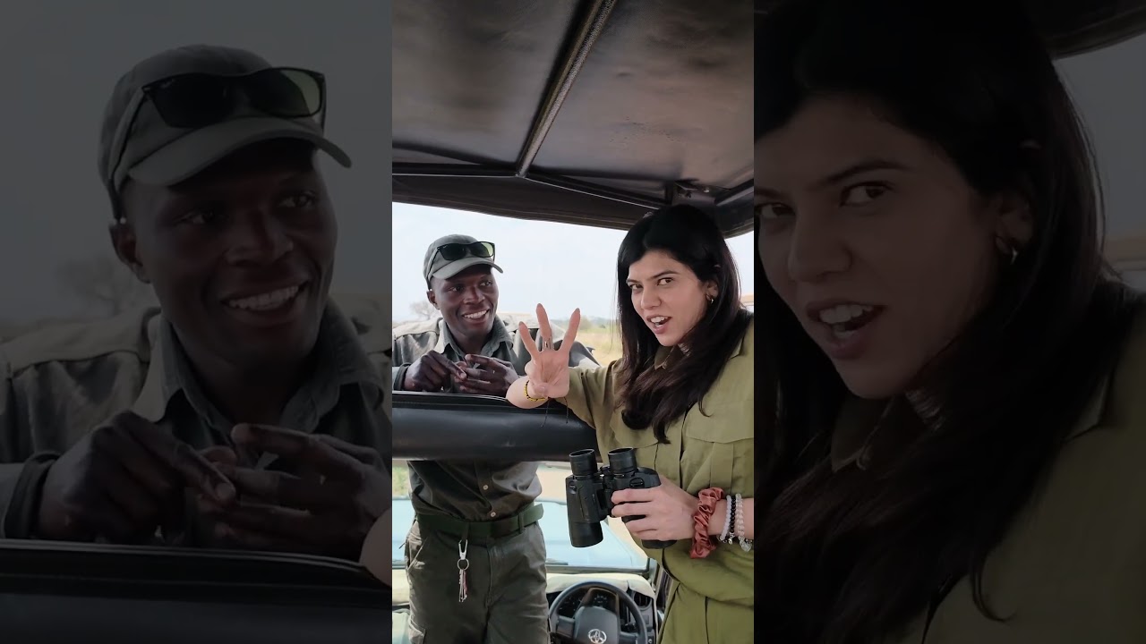 Serengeti Safari Part-3🦒🦓 #couple #safari #africa #serengeti #masaimara #travel #vlog #adventure
