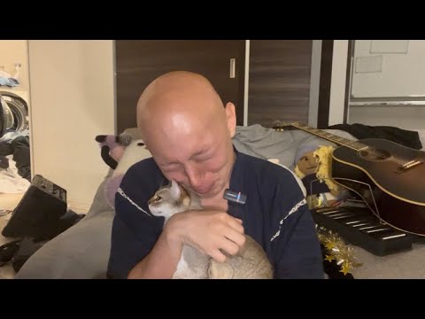 【足立区 迷い猫 感謝回💐】無事保護されたチェボの為に渾身の『懺悔の歌』を作曲しました...