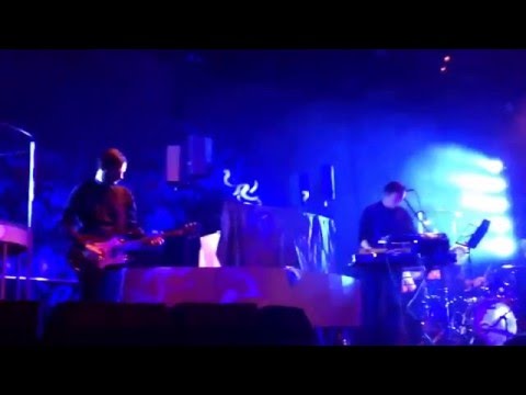 Дельфин | Dolphin