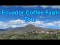 Ecuador Coffee Farm Tour - Vilcabamba Loja 2020