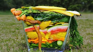 GARBAGE TIME LAPSE 115 DAYS