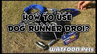 How to use WATFOON Dog Runner DR01?
