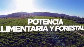 VIDEO PLAN REGIONAL DE DESARROLLO COMPETITIVO MAULE