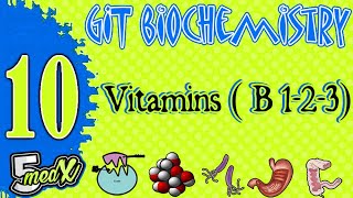 Lecture 10 : Vitamins ( B 1-2-3)