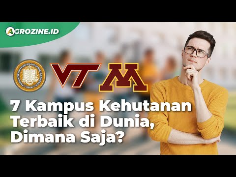 Video: Di mana streaming fakultas?