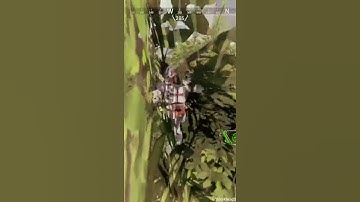 Apex Legends Clips - Best Place For A Self-Revive #Shorts