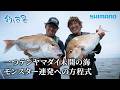 【釣り百景】#648 一つテンヤマダイ未開の海 モンスター連発への方程式