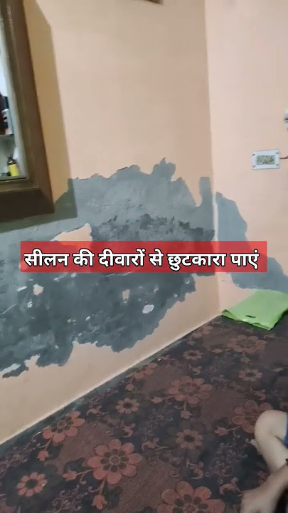 Best solution of moisture Wall with 5 year gauranty #viral #dampness #pvcwallpaper #pvc #walldecor