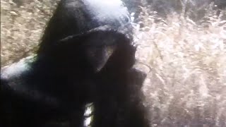 Skean - Idontwannaknowhisname Legendado