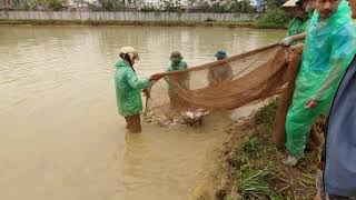 The Most Failed Nets Fishing