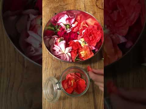 Vidéo: Recettes de thé aux pétales de rose et de glaçons aux pétales de rose