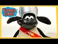 Finding Aliens 👽 Best of Timmy Time 🐑