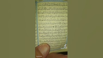 الملك يومئذ لله يحكم بينهم..سورة الحج قرآن كريم آيات إبداع تلاوة خاشعة #قرآن #القارئ_أحمد_البكر