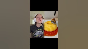 Solutions in point-and-click games #videogames #relatable #clairbearskits