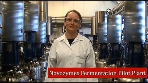 B&B: Online monitoring of pilot scale filamentous fungal fermentation processes