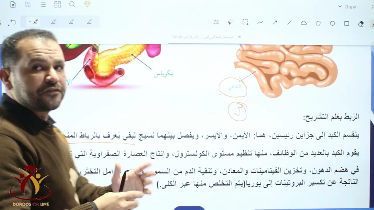 ف٢- الحصة 15 الهضم و الأمتصاص 