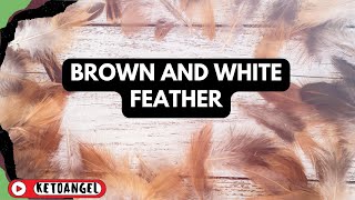 The Spiritual Meaning of Brown and White Feathers