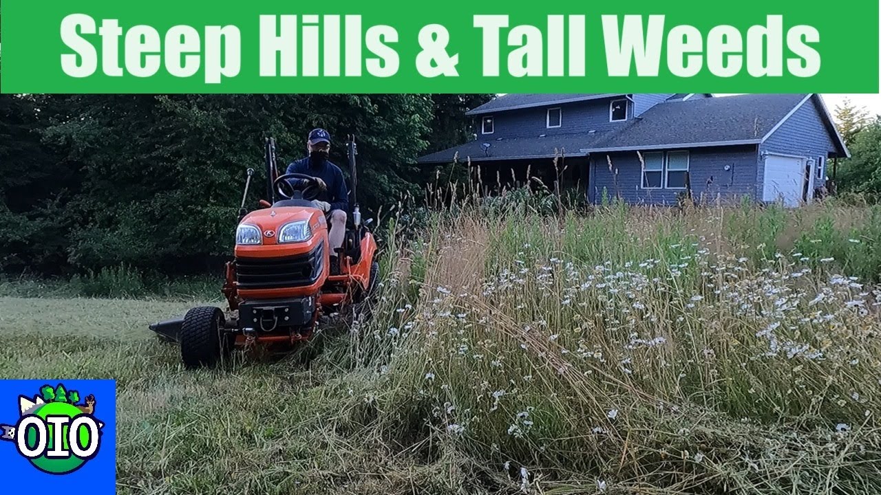 Conquering Steep Hills & Tall Weeds: Kubota BX 4x4 Tames Overgrown Field