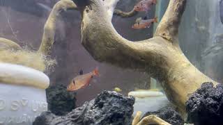 IMG 1763