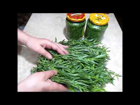 Заготовка тархуна на зиму. Harvesting tarragon for the winter. ზამთრისთვის ტარხუნის კონსერვაცია.