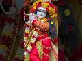❤️❤️Divine Darshan | Beautiful Temple Moment-26 Feb 26❤️❤️#short #shorts #ytshorts