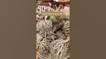 عجائب كف مريم عشبة رهيبه 