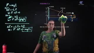 Celebrity Intro Physics Chapter 7 Work and Kinetic Energy Profile