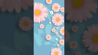 Daisy Spring Flower Season