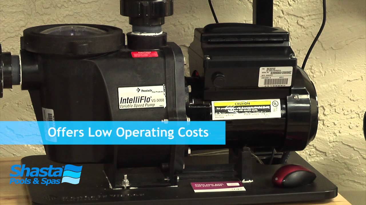 Phoenix Pool and Spa Builder Shasta Pools Pentair Intelliflo Call