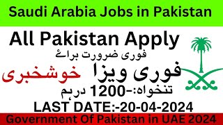 Saudi Arabia Jobs in Pakistan/Jobs in Pakistan 2024/ jobs 2024/ April jobs  