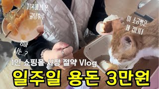 Vlog | 돈 아끼려고 냉털해서 수제비 만들다 몸살 나는 절약 일상 | 초보 집사 다묘가정 합사 일기 | 귤 탕후루 | 개냥이 아기고양이와 질투 많은 고양이 브이로그