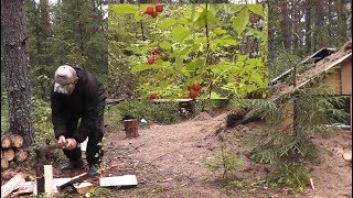 ДАРЫ ЛЕСА! У ДОМИКА ЕСТЬ ВСЁ...  Work and rest in the Russian forest