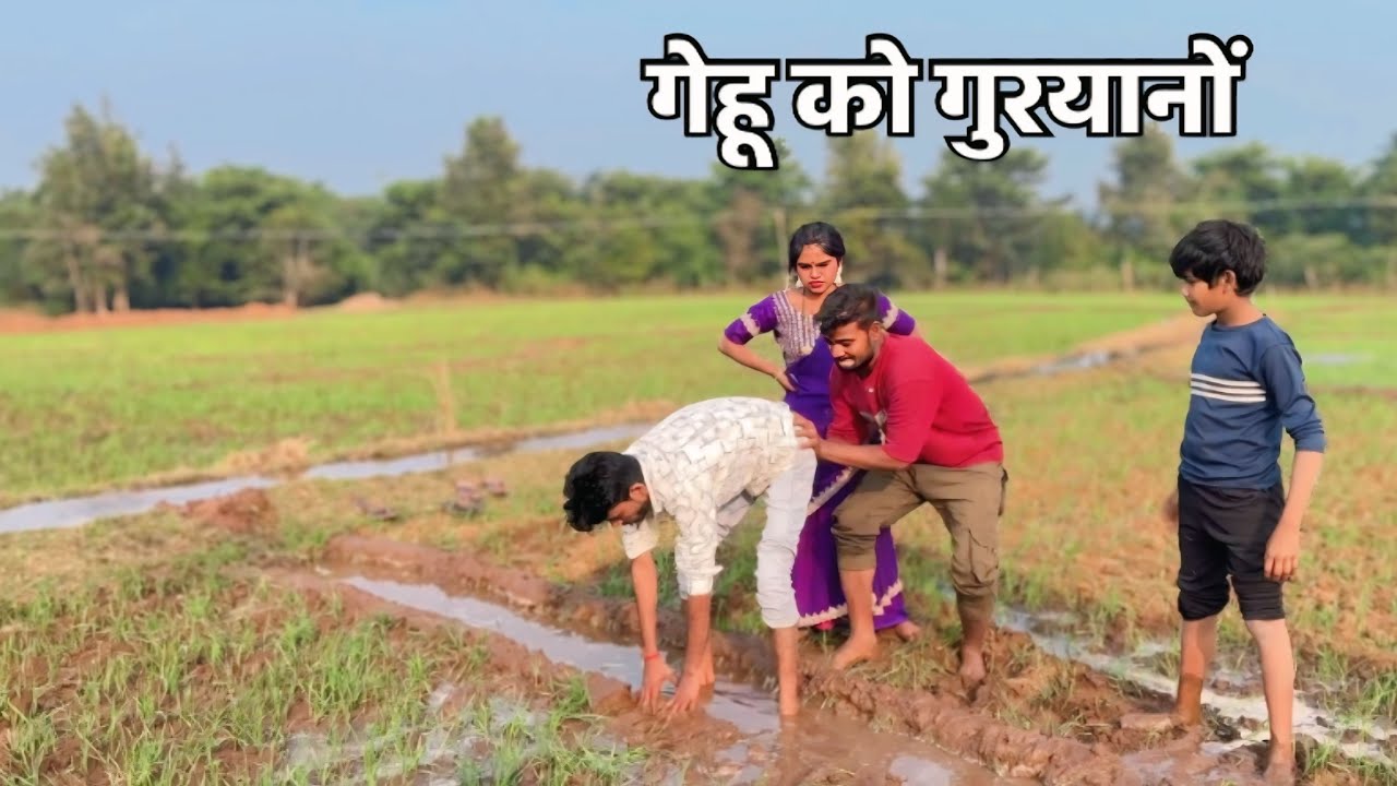 गेहू को गुरयानों || Bundeli comedy || Bhagirath Aashiq 