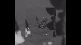 That’s my girl-fifth harmony (sped up)