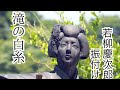 若柳慶次郎・振付け集「滝の白糸」