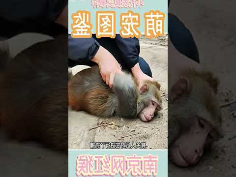 From TV Star To...? Winnie's Incredible Journey!