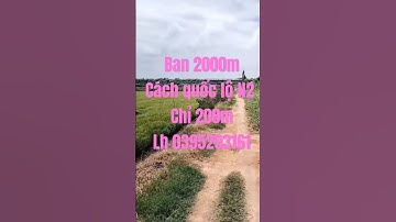 ban 2000m vuong gần quốc lộ N2