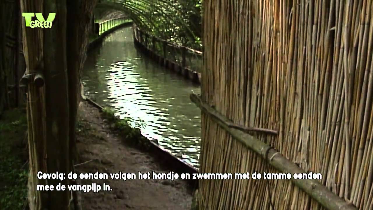 De pijp uit! Hoe werkt een