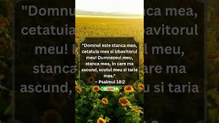 Dumnezeu este cetatuia ta #verset #credinta #crestinism