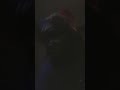 By your self Zoe ent