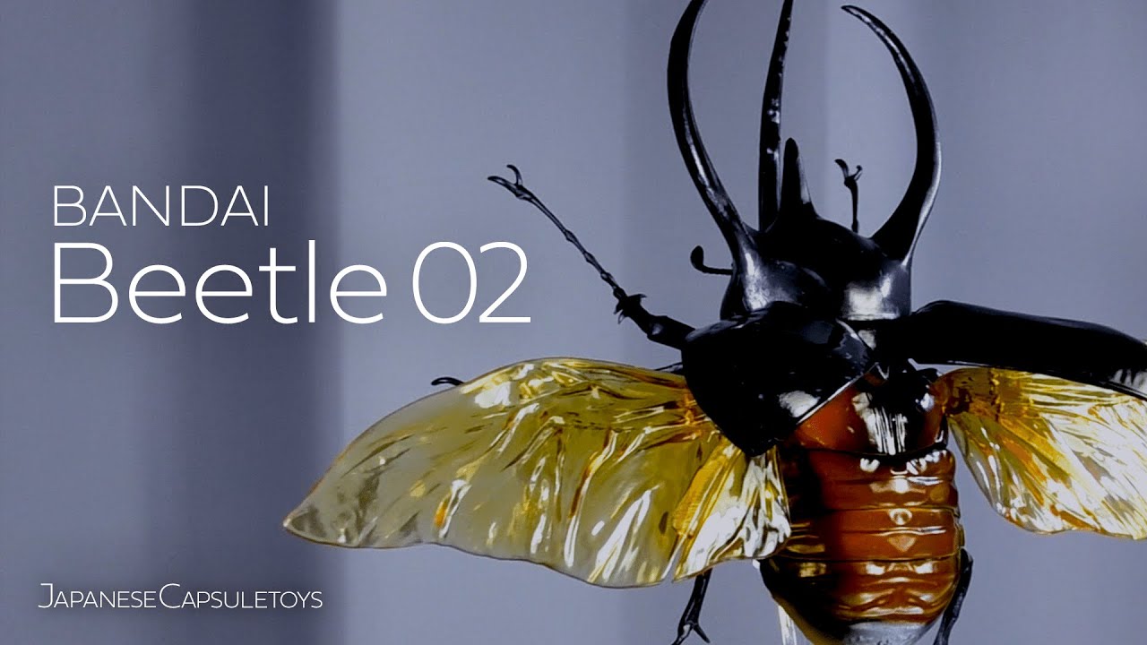 The second of the real looking beetle Gachapon - YouTube