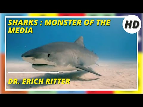SHARKS: MONSTER OF THE MEDIA