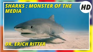 Sharks: Monster of the Media