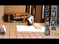 冷たい雨の中玄関に来たお腹を空かせた猫が取った行動が意外過ぎる…