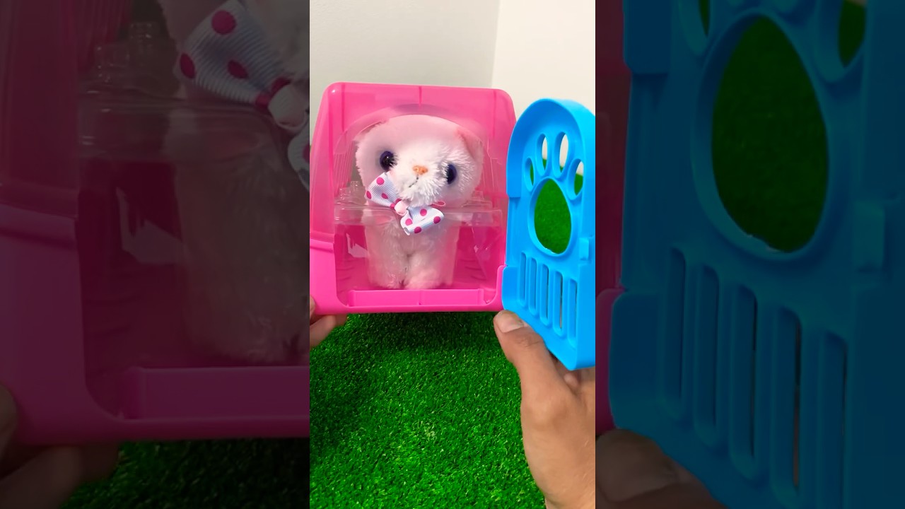 Hello kitty Toys | unboxing lovely kitty Pussy cat carrier 🐱 Toys and comb 🧸 | 