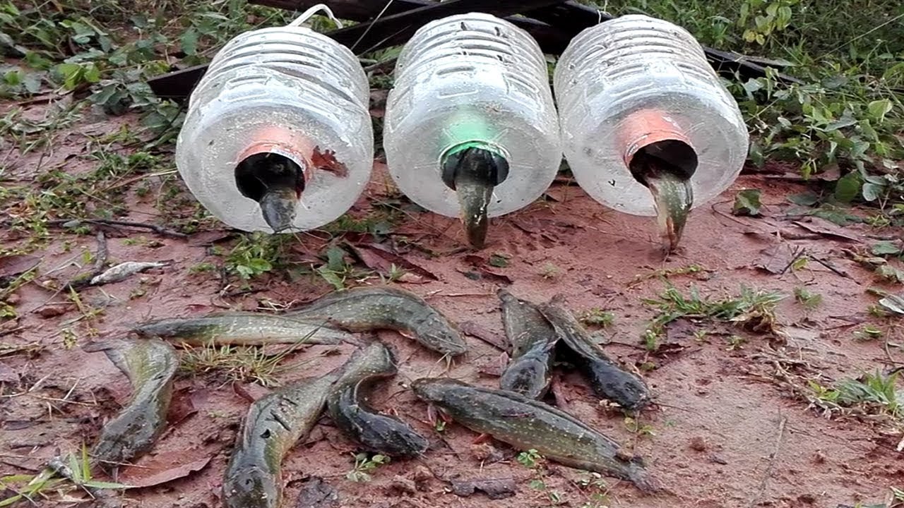 Wow! Extremely Creative Smart Boys Make Fish Trap With Plastic Bottle ...