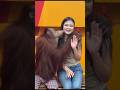 Funny animals videos #funny #animals #shorts #video