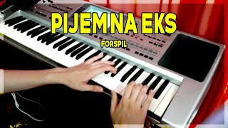 Pijem Na Eks Sinan Sakić Korg Pa50 Forspil Cover Uzivo