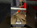 Wall Plastering with Wire Mesh Reinforcement for Stronger Finish !! #innovation #tool #ideas