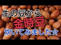 【家族皆大好物】３人育児主婦が炊く金時豆【生の豆から】＊分量は概要欄